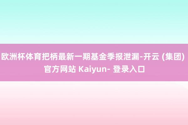 欧洲杯体育把柄最新一期基金季报泄漏-开云 (集团) 官方网站 Kaiyun- 登录入口