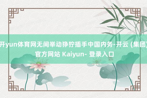 开yun体育网无间举动狰狞插手中国内务-开云 (集团) 官方网站 Kaiyun- 登录入口