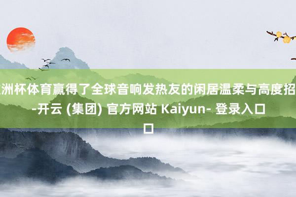 欧洲杯体育赢得了全球音响发热友的闲居温柔与高度招供-开云 (集团) 官方网站 Kaiyun- 登录入口