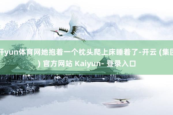 开yun体育网她抱着一个枕头爬上床睡着了-开云 (集团) 官方网站 Kaiyun- 登录入口