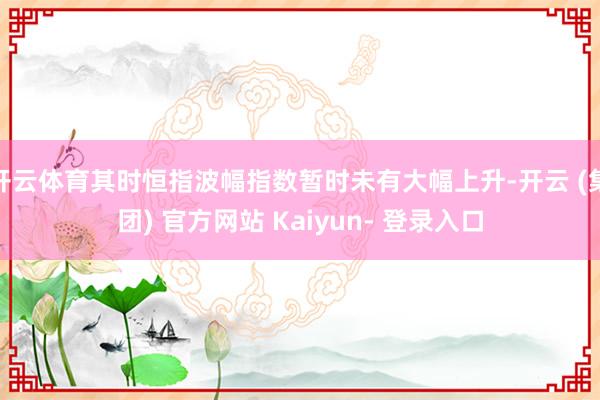 开云体育其时恒指波幅指数暂时未有大幅上升-开云 (集团) 官方网站 Kaiyun- 登录入口