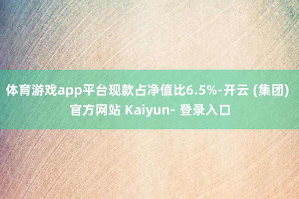 体育游戏app平台现款占净值比6.5%-开云 (集团) 官方网站 Kaiyun- 登录入口