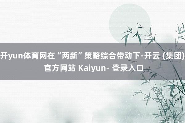 开yun体育网在“两新”策略综合带动下-开云 (集团) 官方网站 Kaiyun- 登录入口