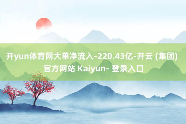开yun体育网大单净流入-220.43亿-开云 (集团) 官方网站 Kaiyun- 登录入口