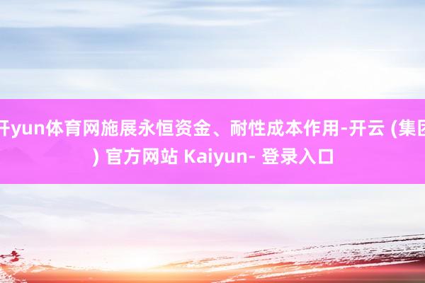 开yun体育网施展永恒资金、耐性成本作用-开云 (集团) 官方网站 Kaiyun- 登录入口